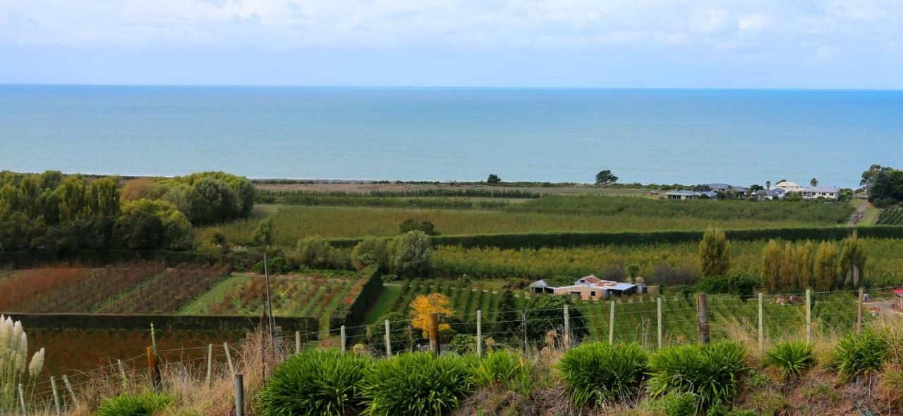 Chalet Swen Song Napier Dış mekan fotoğraf